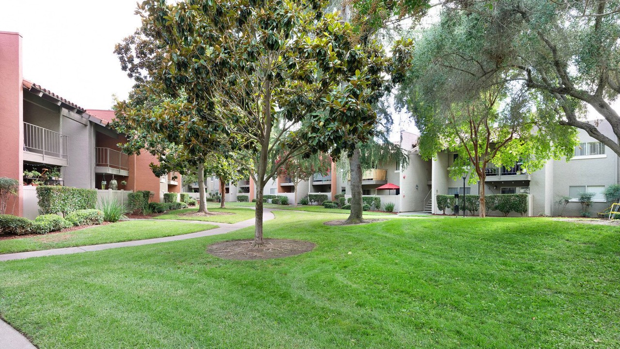 Photo of Outdoor in Campbell