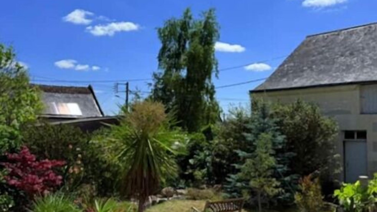 Photo of Outdoor in Bourgueil