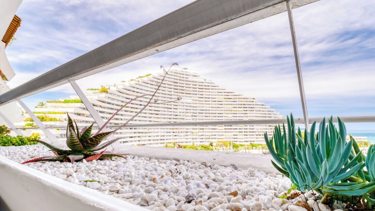 Photo of Outdoor in Villeneuve Loubet Beach