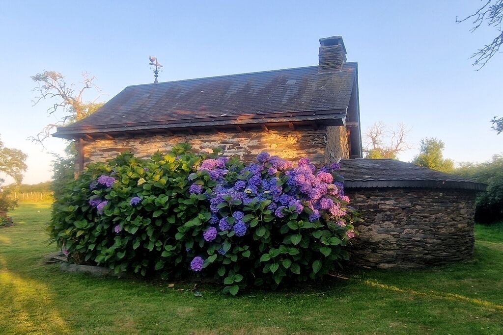 Photo of Outdoor in Abbaretz