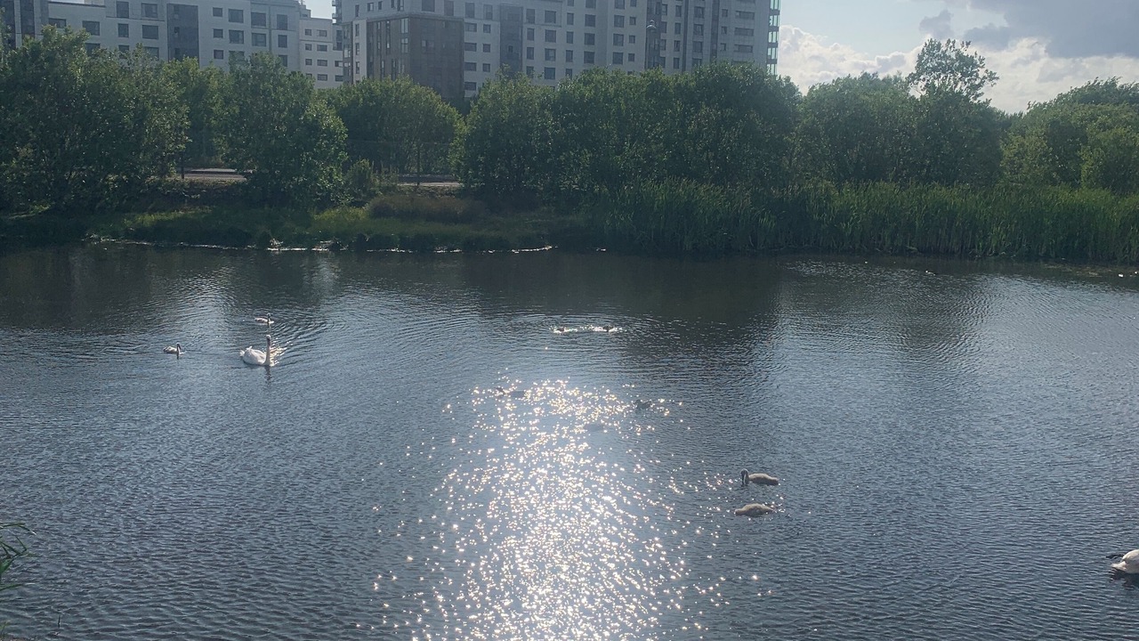 Photo of Others in Newhaven