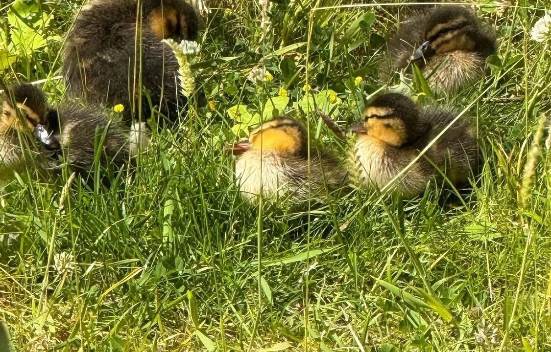 Photo of Others in Newhaven