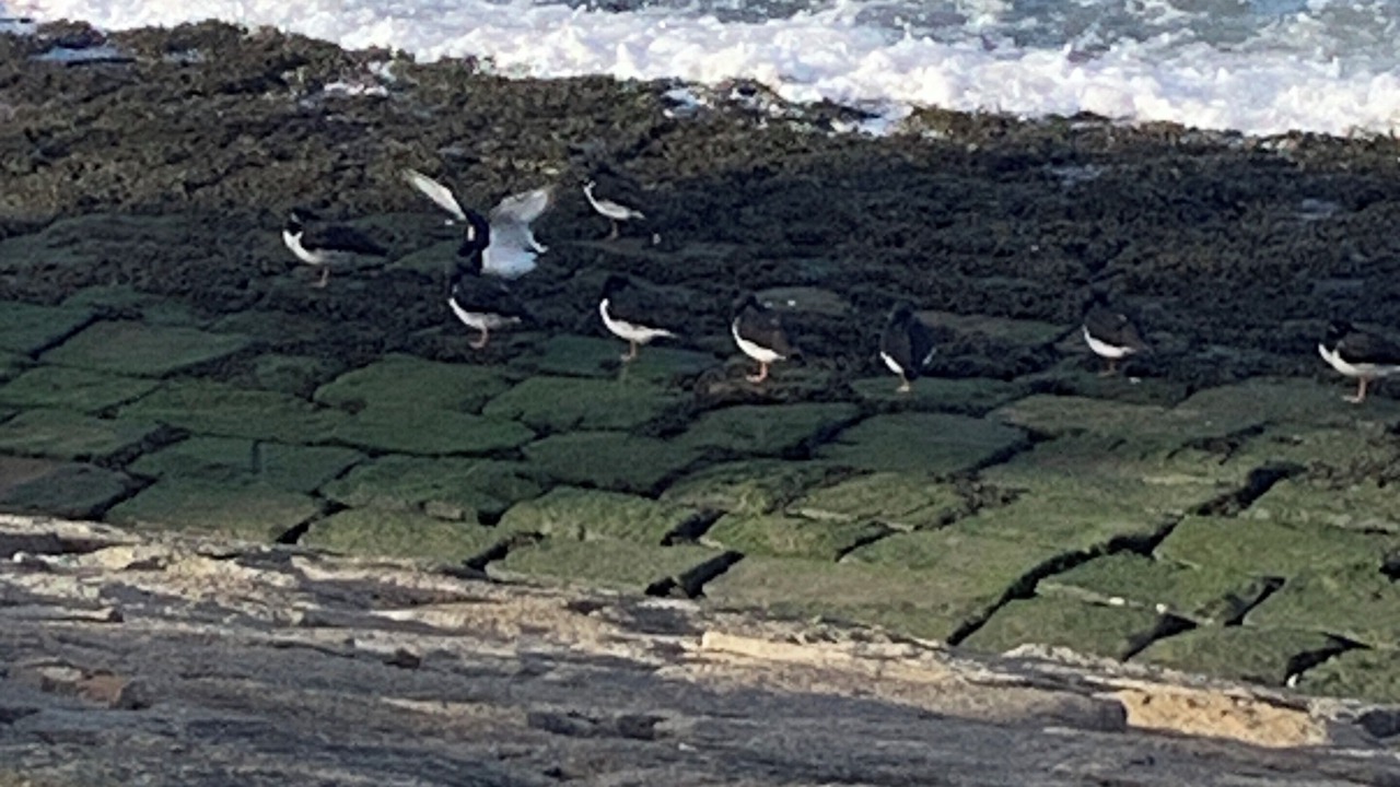 Photo of Others in Newhaven