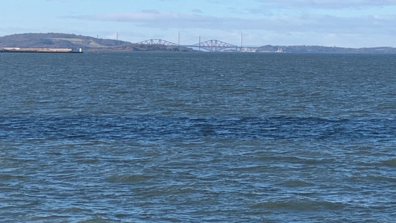 Photo of Others in Newhaven