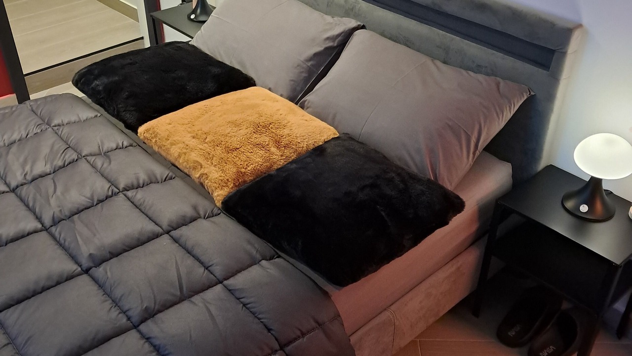 Photo of Bedroom in Pantin