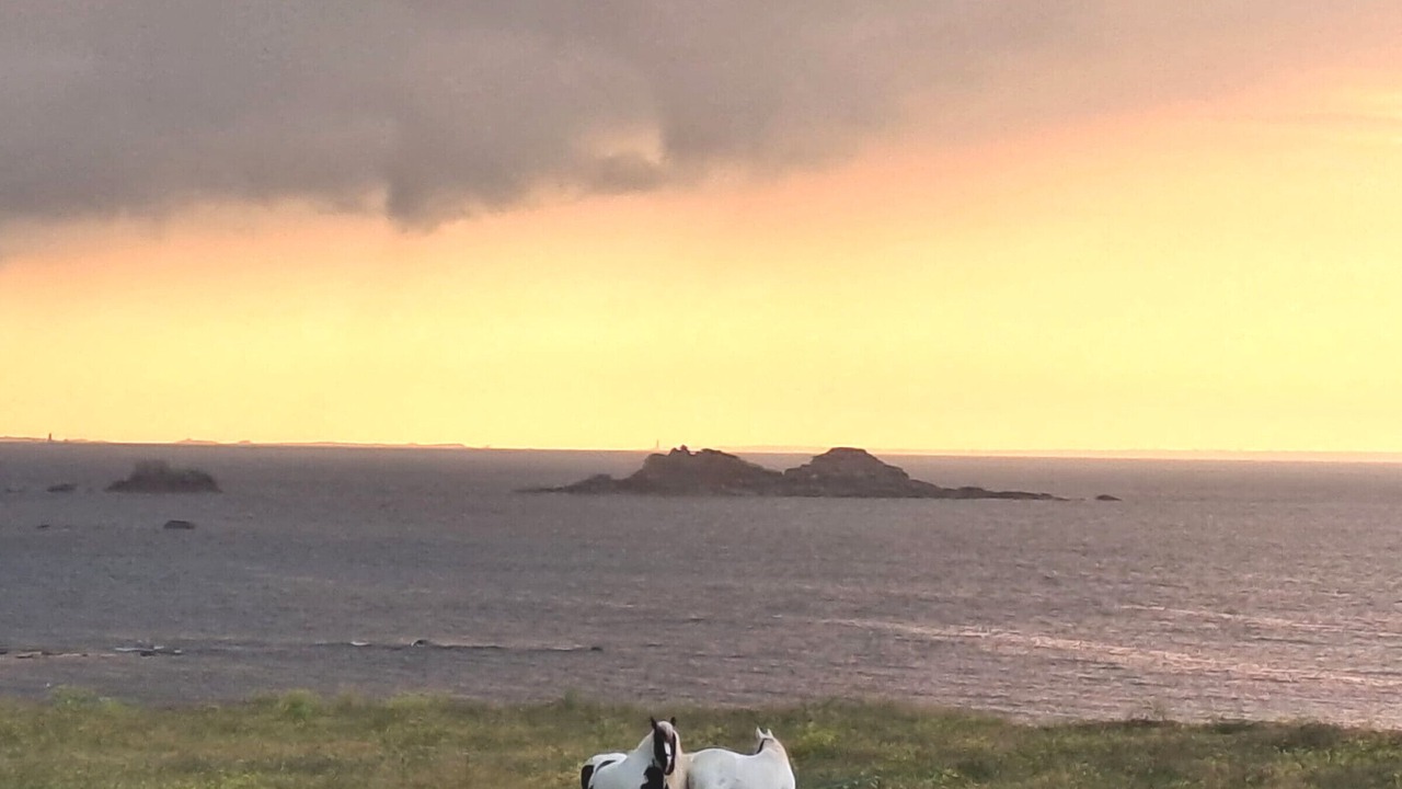 Photo of Others in Plouarzel