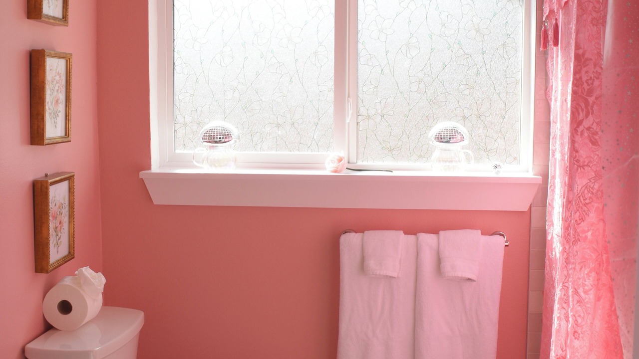 Photo of Bathroom in Pecan Springs Springdale