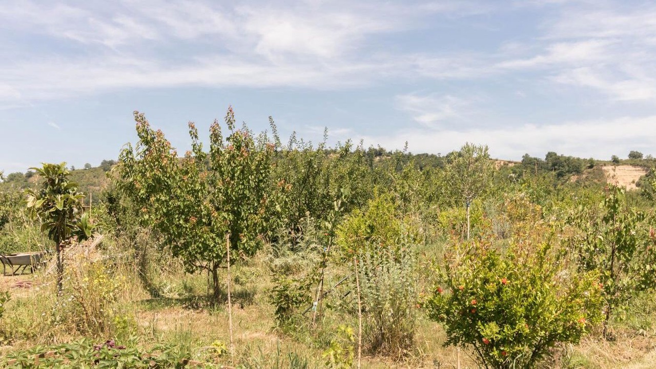 Photo of Outdoor in Noe