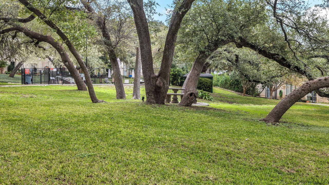Photo of Outdoor in Highland Park West