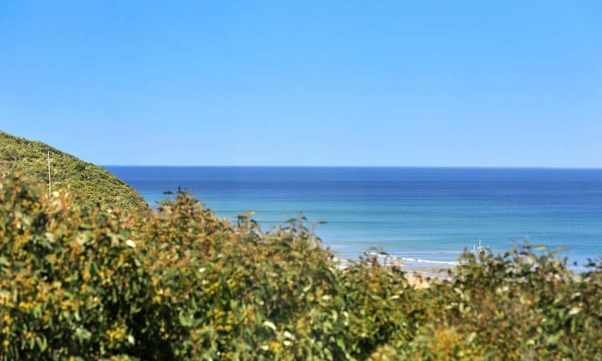 Photo of Others in Moggs Creek