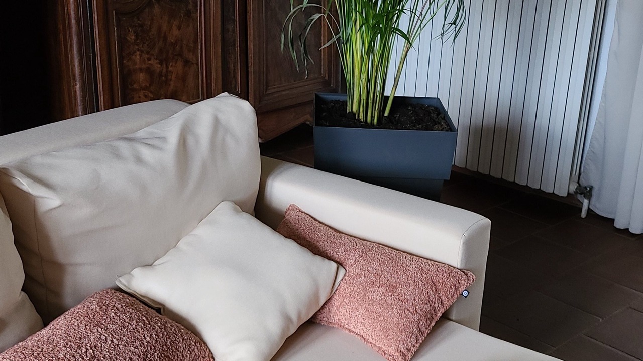 Photo of Others in Meillonnas