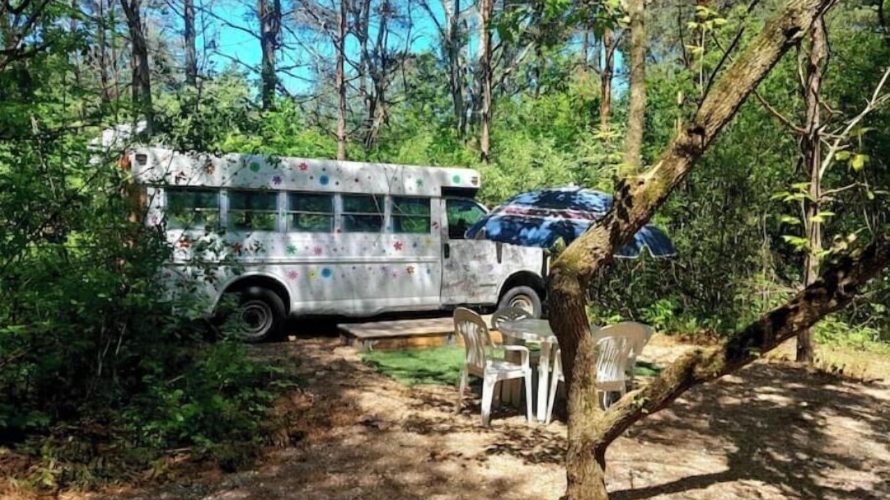 Photo of Outdoor in Cass City