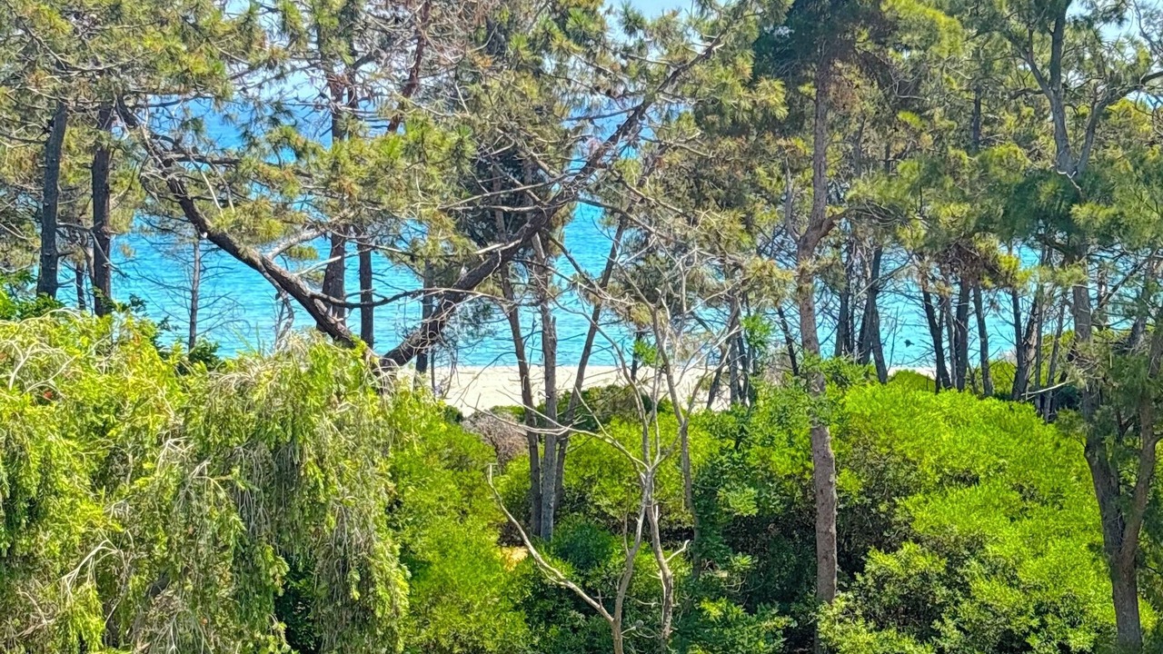 Photo of Others in Aleria