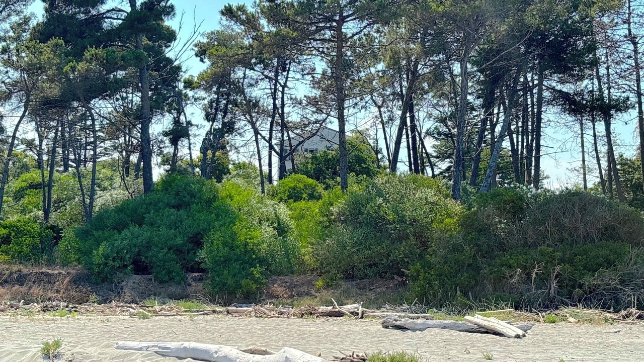 Photo of Others in Aleria