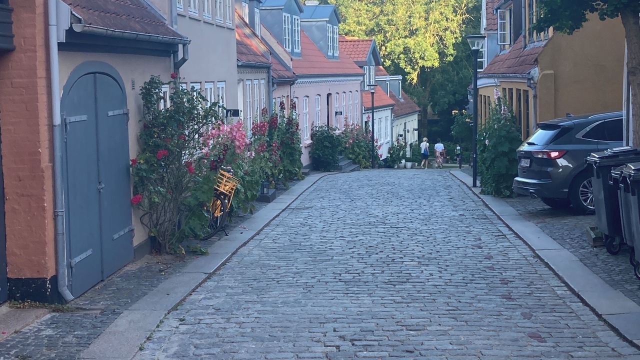 Photo of Others in Odense