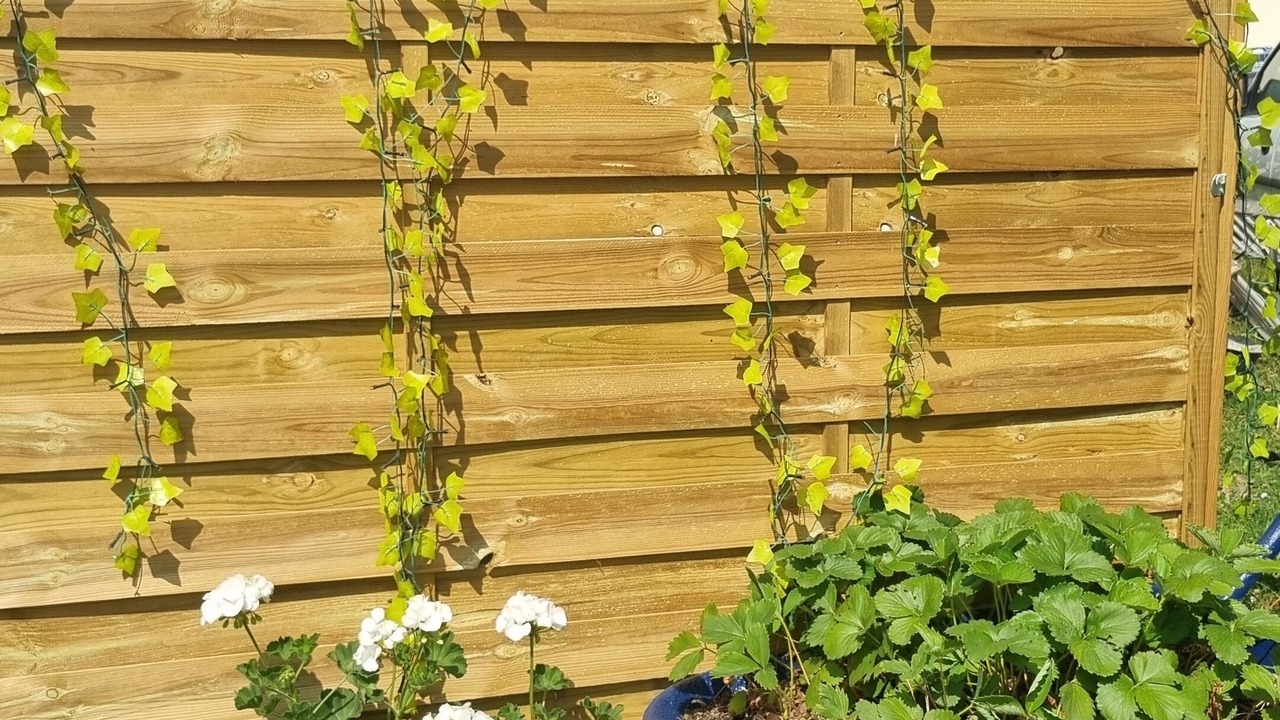 Photo of Outdoor in Bergerac