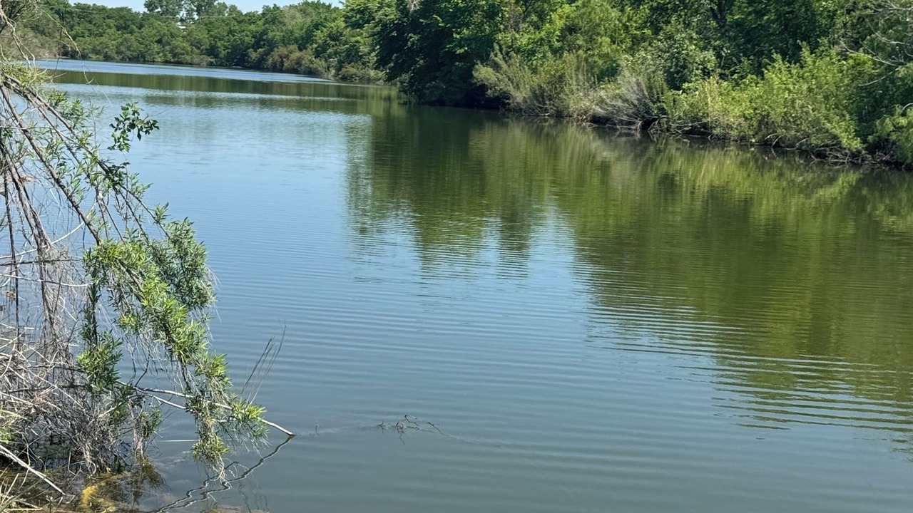 Photo of Others in Farmers Branch
