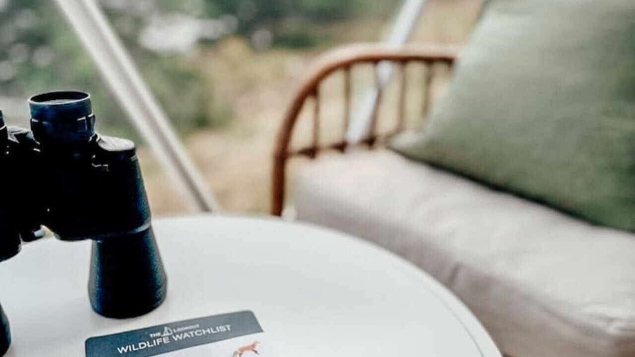 Photo of Others in LaHave