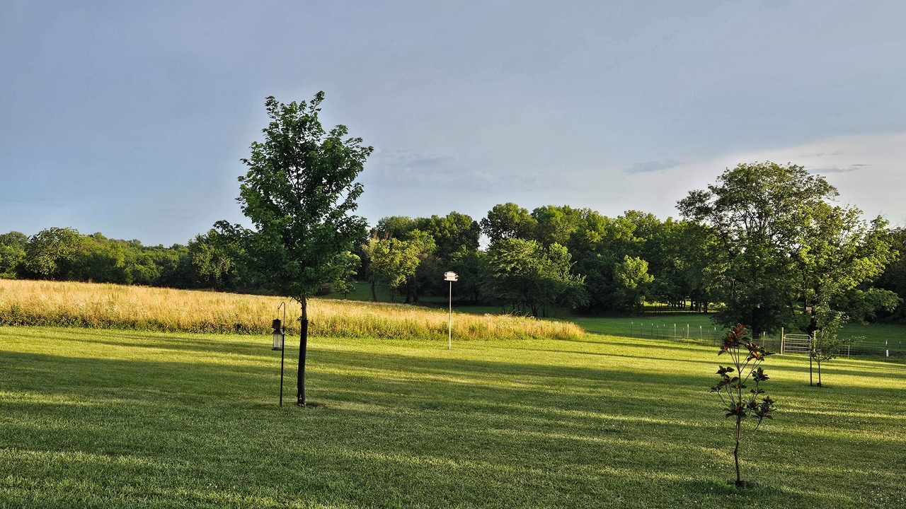 Photo of Outdoor in Warrensburg