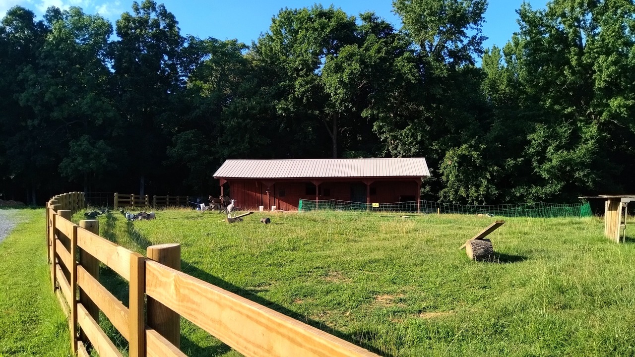 Photo of Outdoor in Manitou