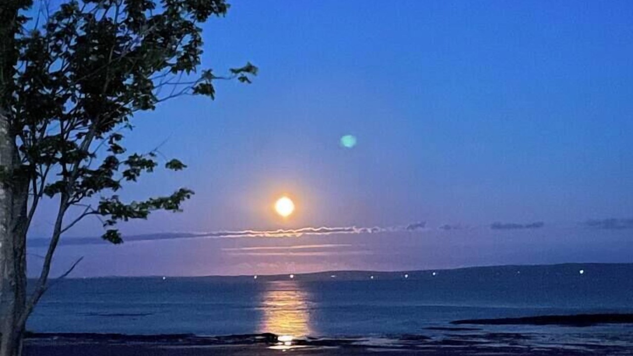 Photo of Others in Colchester County