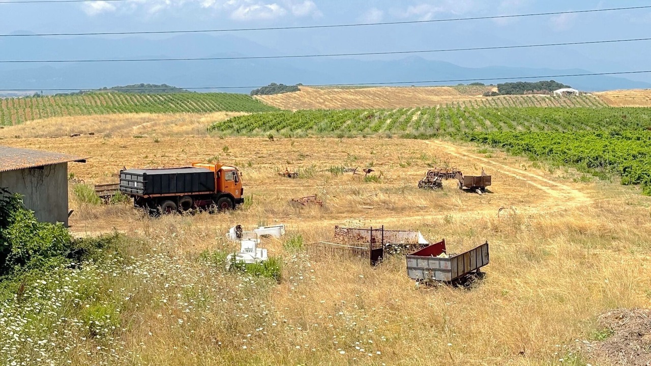 Photo of Others in Aleria