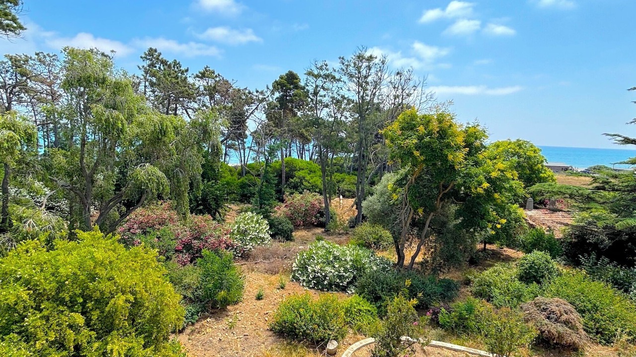 Photo of Outdoor in Aleria