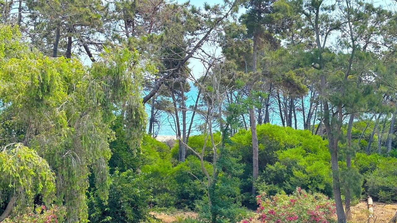 Photo of Others in Aleria