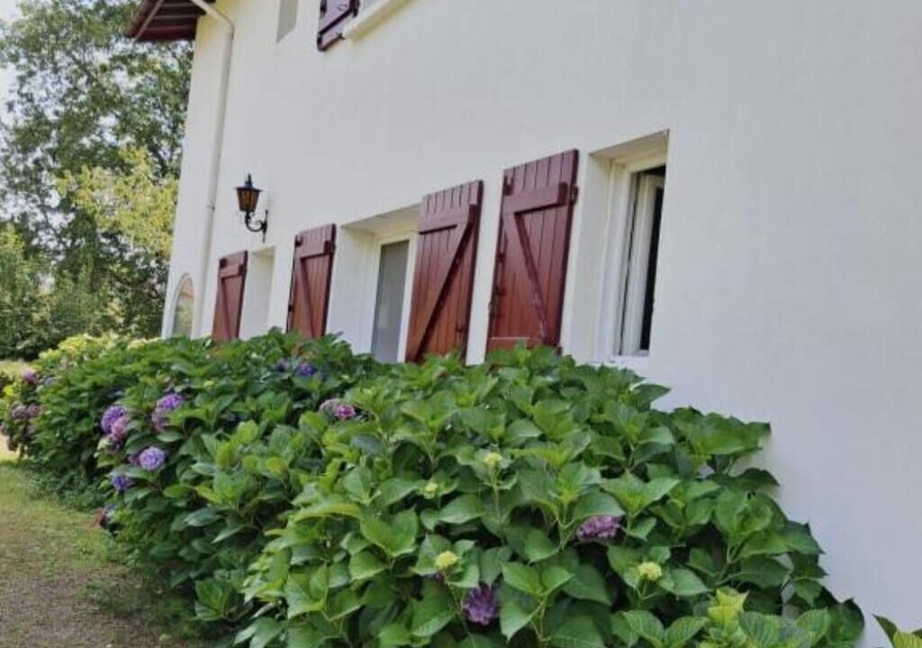 Photo of Outdoor in Ascain