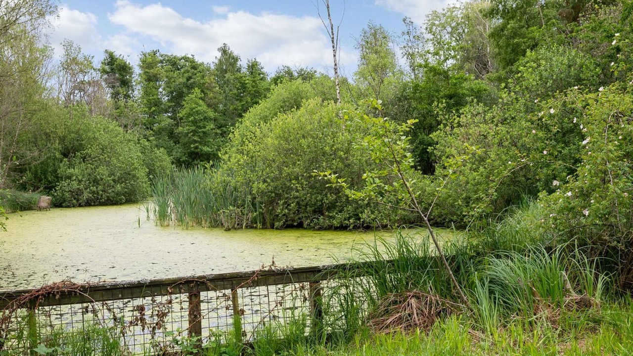 Photo of Outdoor in Handrup Strand