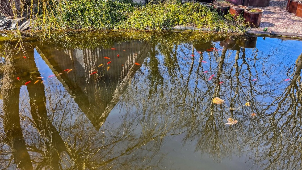 Photo of Others in Gudhjem