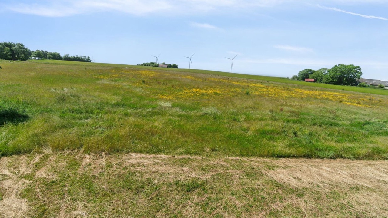 Photo of Outdoor in Rutsker