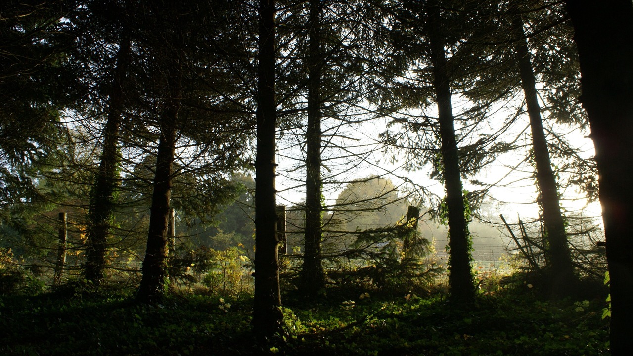 Photo of Others in Preaux-Bocage