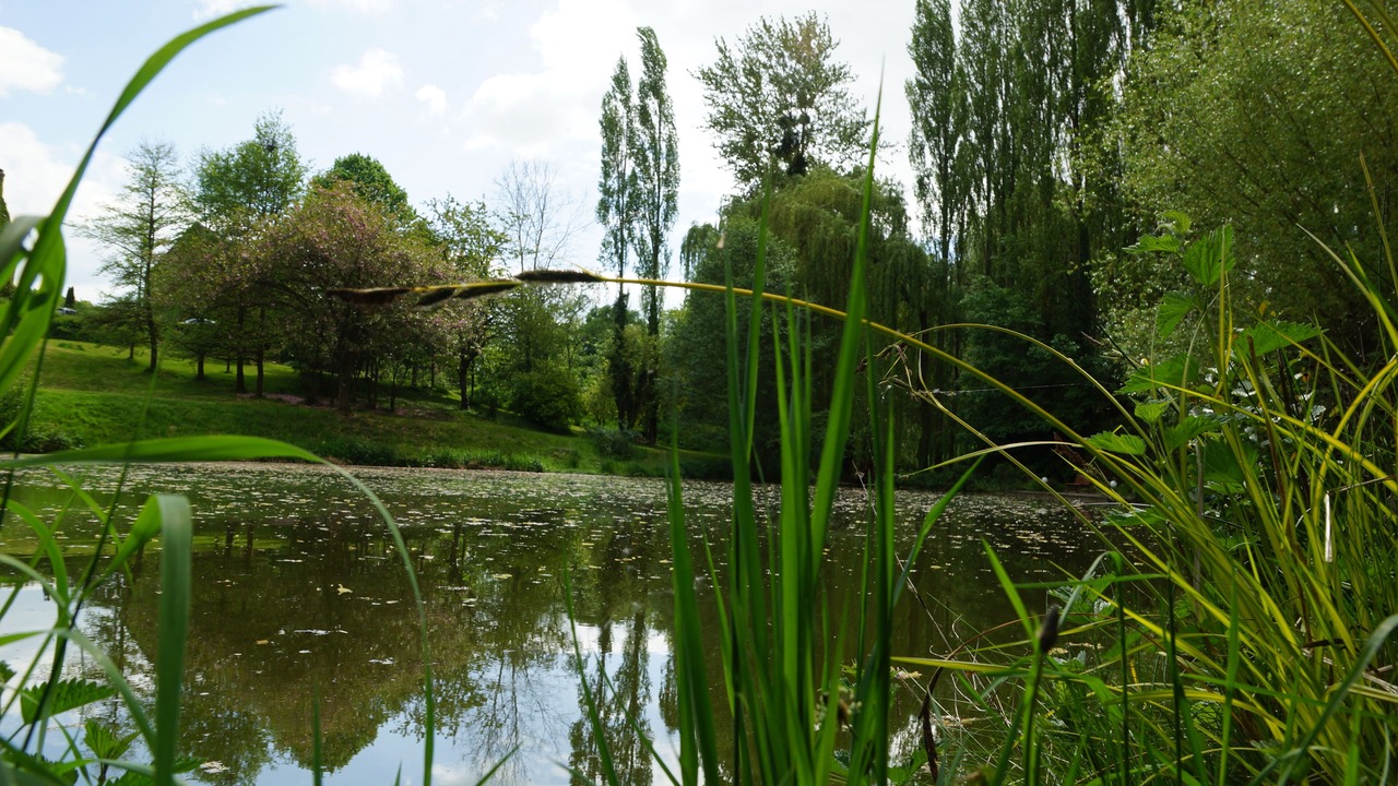 Photo of Others in Preaux-Bocage