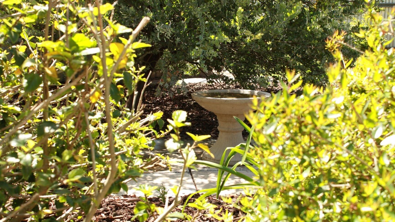 Photo of Outdoor in Greenock