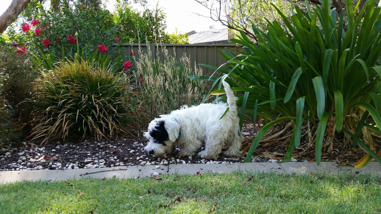 Photo of Others in Greenock