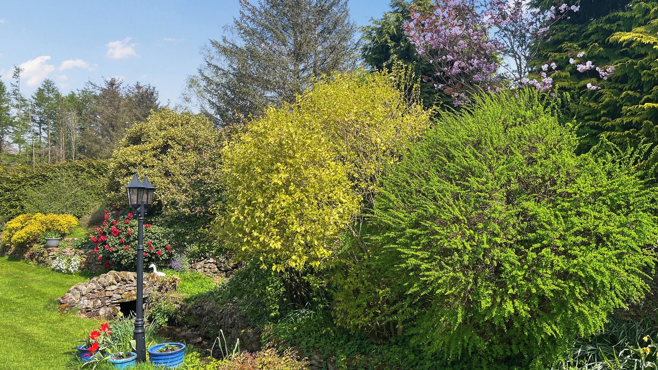 Photo of Outdoor in Penrith