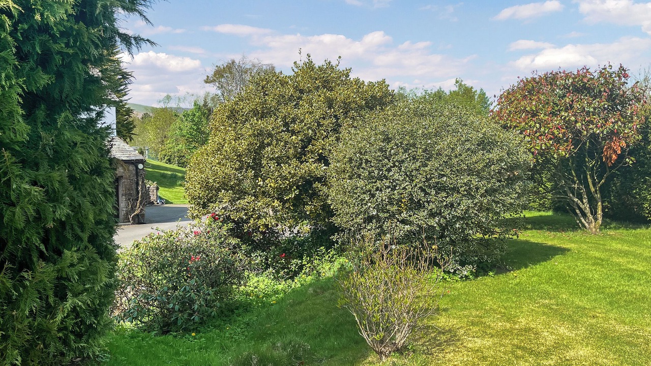 Photo of Outdoor in Penrith