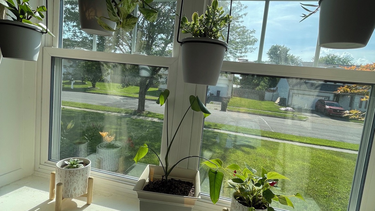 Photo of Others in Grove City