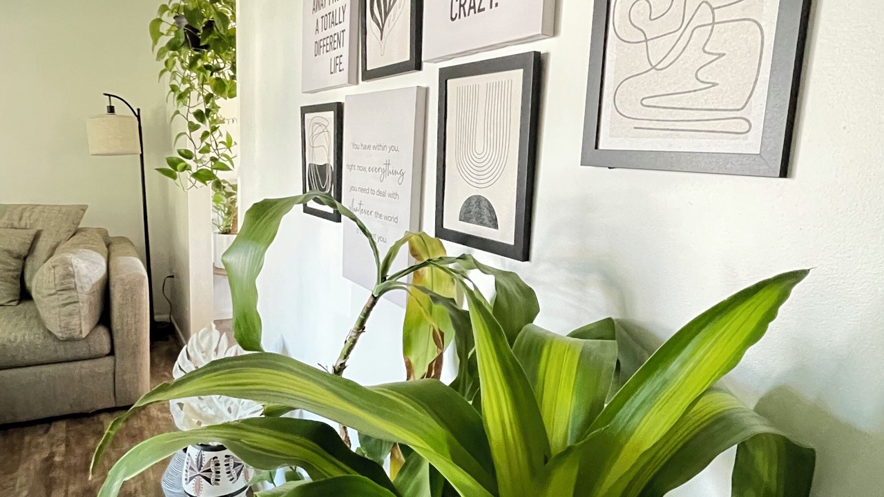 Photo of Others in Grove City