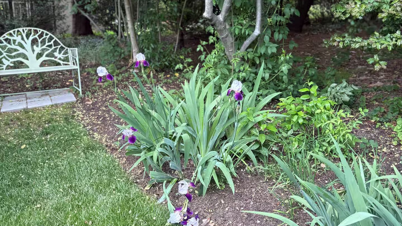 Photo of Outdoor in Swarthmore