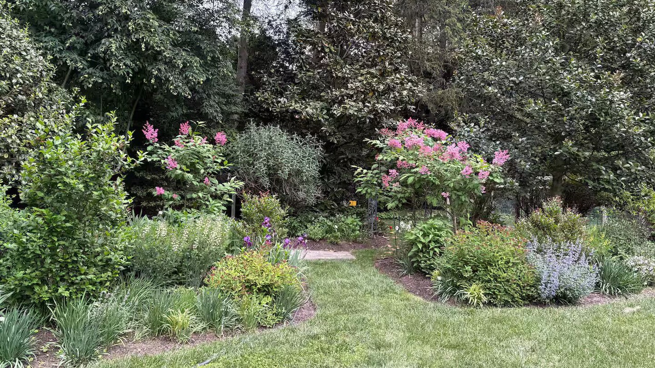 Photo of Outdoor in Swarthmore