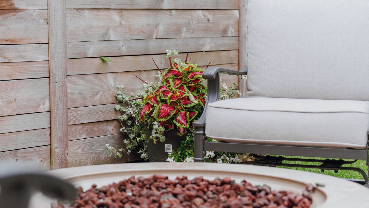 Photo of Outdoor in Enumclaw