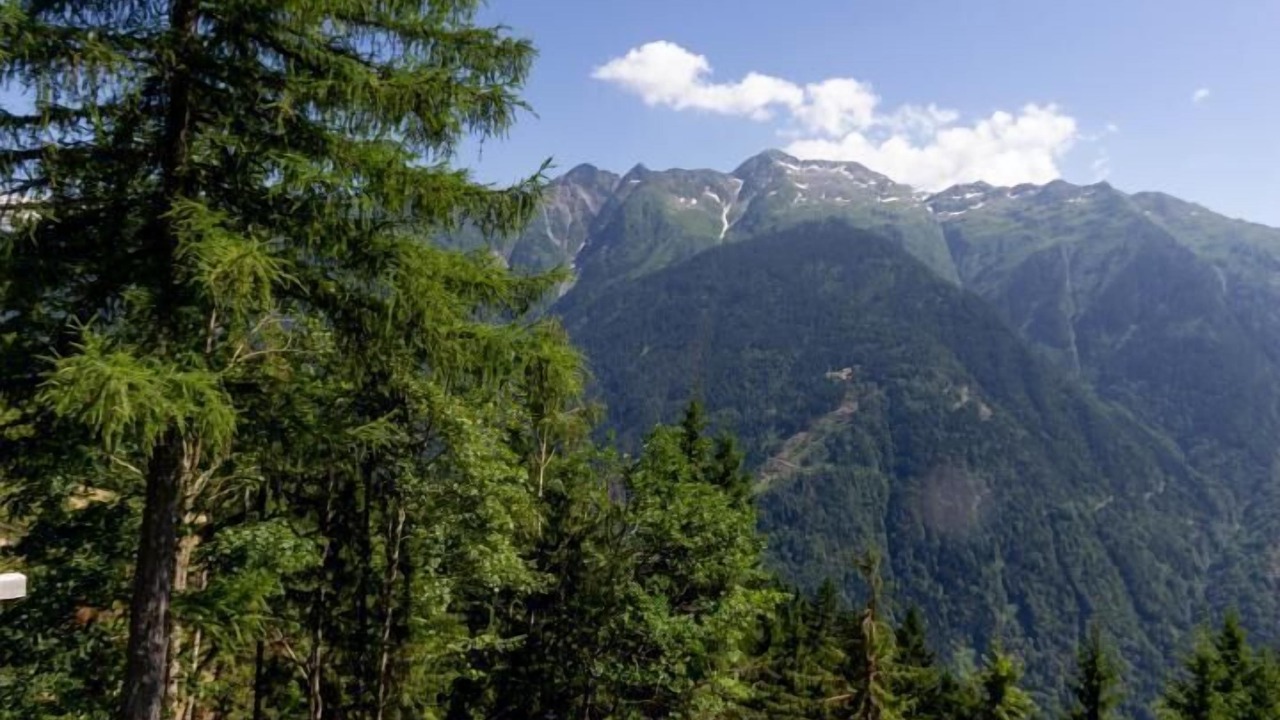 Photo of Others in Queige