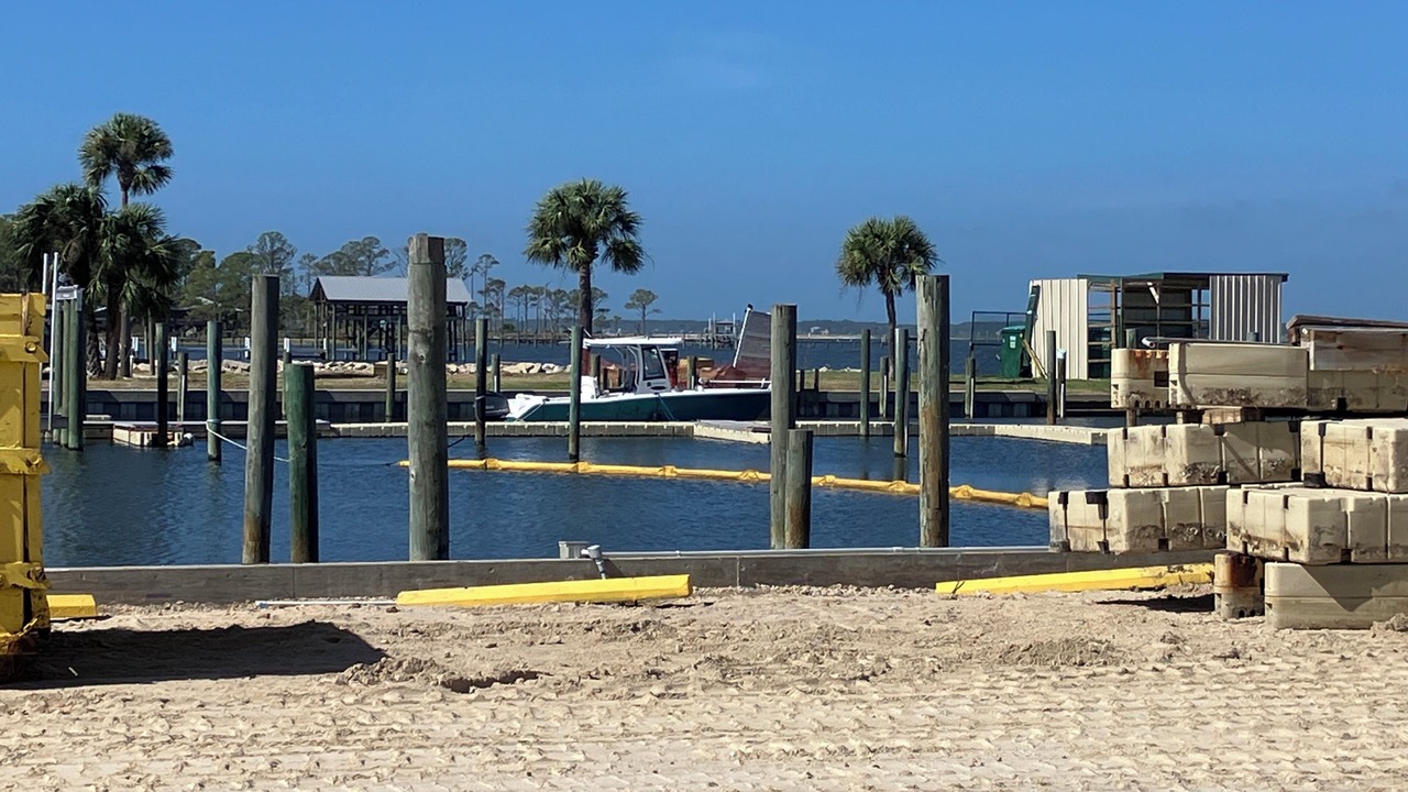 Photo of Others in Alligator Point
