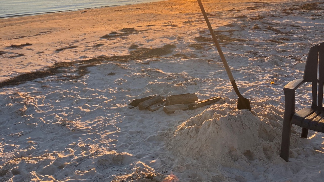 Photo of Others in Alligator Point