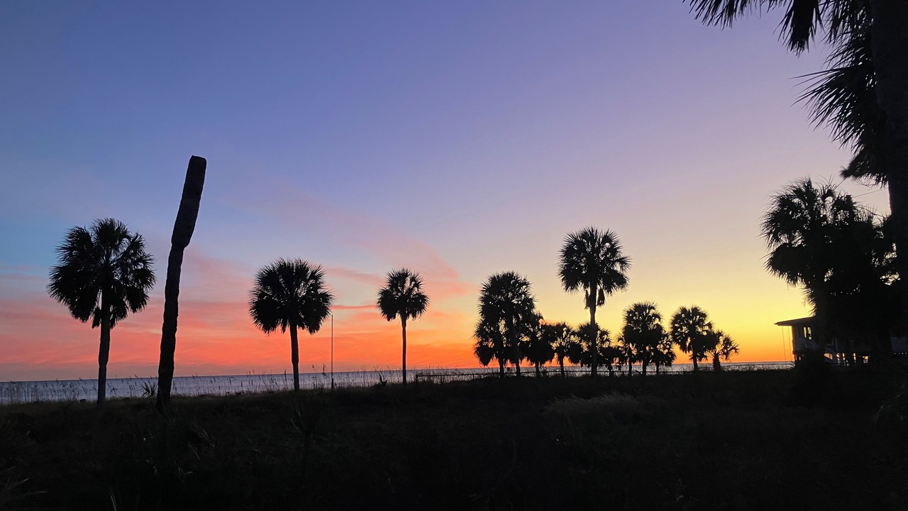 Photo of Others in Alligator Point