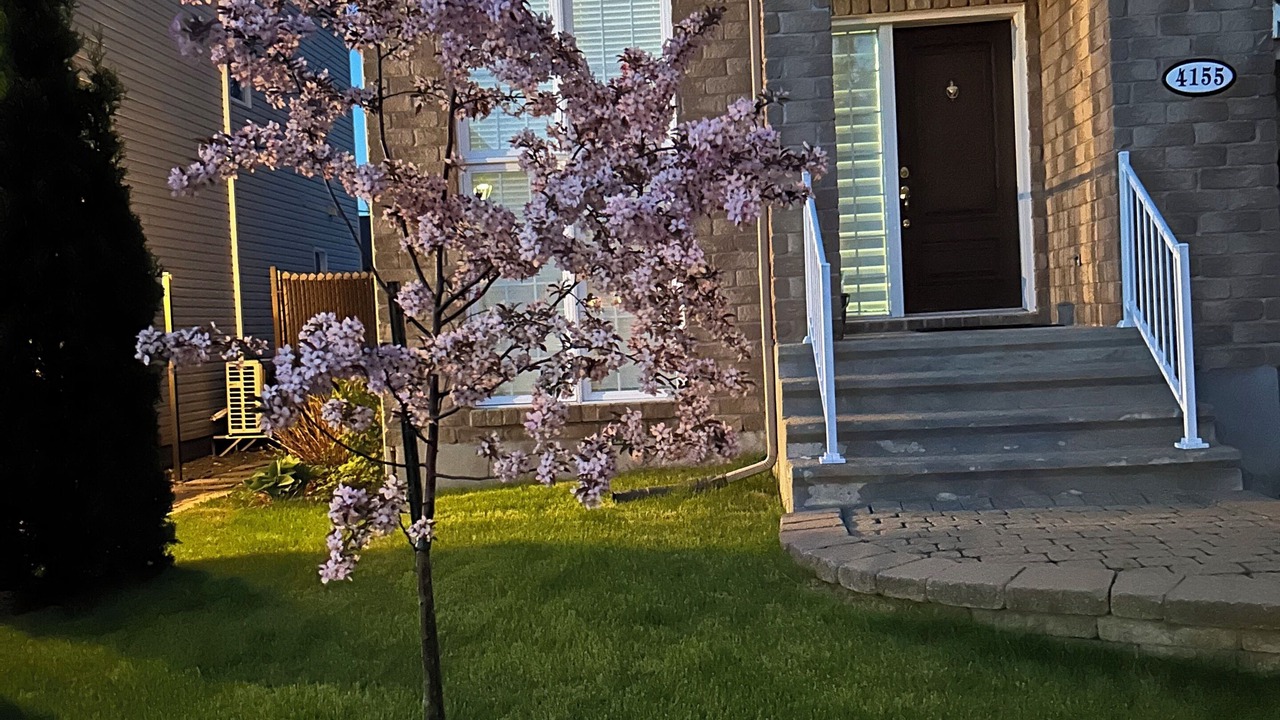 Photo of Outdoor in Fabreville