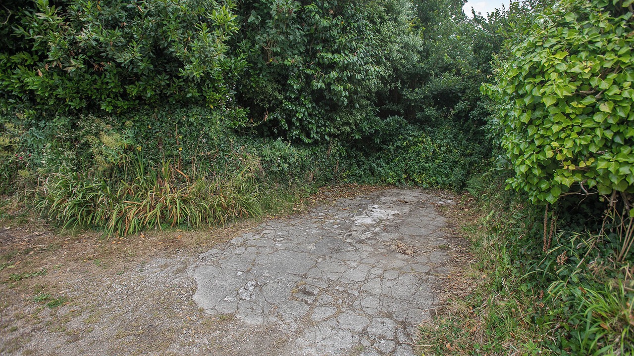 Photo of Others in Philleigh