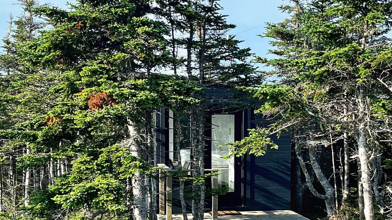 Photo of Others in Terra Nova